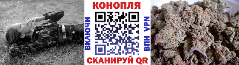 Конопля сатива  наркотики  Кораблино 
